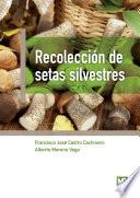 Recolección de setas silvestres