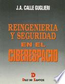 Reingeniería y seguridad en el ciberespacio