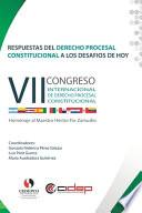 Respuestas del Derecho Procesal Constitucional a los desafíos de hoy