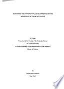 Rethinking the Nation-state, Developmentalism and Indigenous Activism in Ecuador