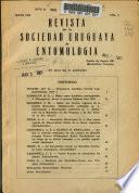 Revista