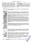 Revista