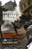 Roots of the Arab Spring