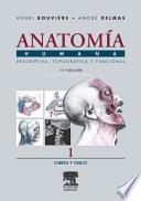 Rouvière, H., Anatomía Humana Descriptiva, topográfica y funcional, 11a ed. ©2005 Últ. Reimpr. 2006