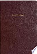 RVR 1960 Biblia de Estudio Arco Iris, Borgoña Piel Fabricada Con índice