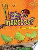 ¿Sabes algo sobre insectos?