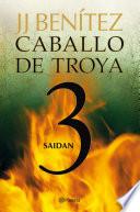 Saidan. Caballo de Troya 3