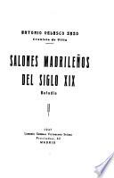 Salones madrileños del siglo XIX; estudio