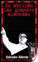 Se abrirán las grandes alamedas