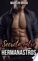 Libro Secreto entre hermanastros
