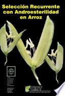 Selección recurrente con androesterilidad en arroz