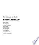 Señor ladrillo