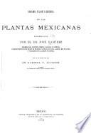 Sinonimia vulgar y científica de las plantas mexicanas