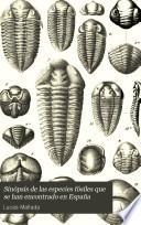 Sinópsis de las especies fósiles que se han encontrado en España
