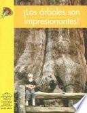 �Los �rboles Son Impresionantes!