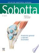 Sobotta. Atlas de Anatomía Humana. Vol 1