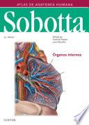 Sobotta. Atlas de anatomía humana vol 2