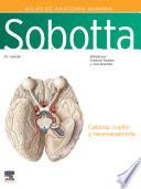 Sobotta. Atlas de Anatomía Humana. Vol 3