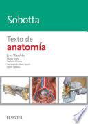 Sobotta. Texto de anatomía