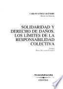 Solidaridad y derecho de daños