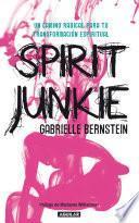 Spirit Junkie