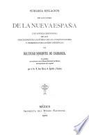 Sumaria relación de las cosas de la Nueva España