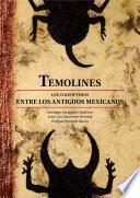 Temolines. Los coleópteros entre los antiguos mexicanos
