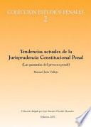 Tendencias actuales de la jurisprudencia constitucional penal