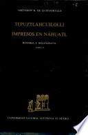 Tepuztlahcuilolli