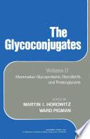 The Glycoconjugates V2