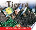 Tierra