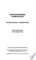 Tortugas marinas de Michoacán