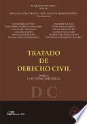 Tratado de Derecho Civil. Tomo X. La fe pública registral