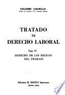 Tratado de derecho laboral: Derecho de los riesgos del trabajo