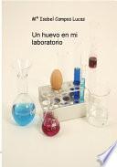 Un huevo en mi laboratorio
