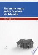Un punto negro sobre la nieve de Islandia