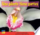 Una planta tiene partes