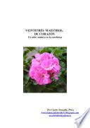 Veintitrés maestros, de corazón - Un salto cuántico en la enseñanza -