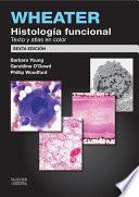 Wheater. Histología funcional