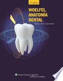 Woelfel, Anatomía Dental